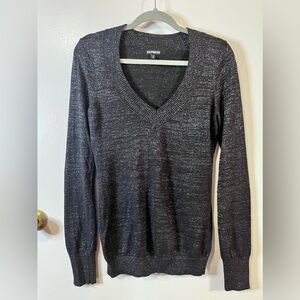 Express Black Metallic V-Neck Sweater